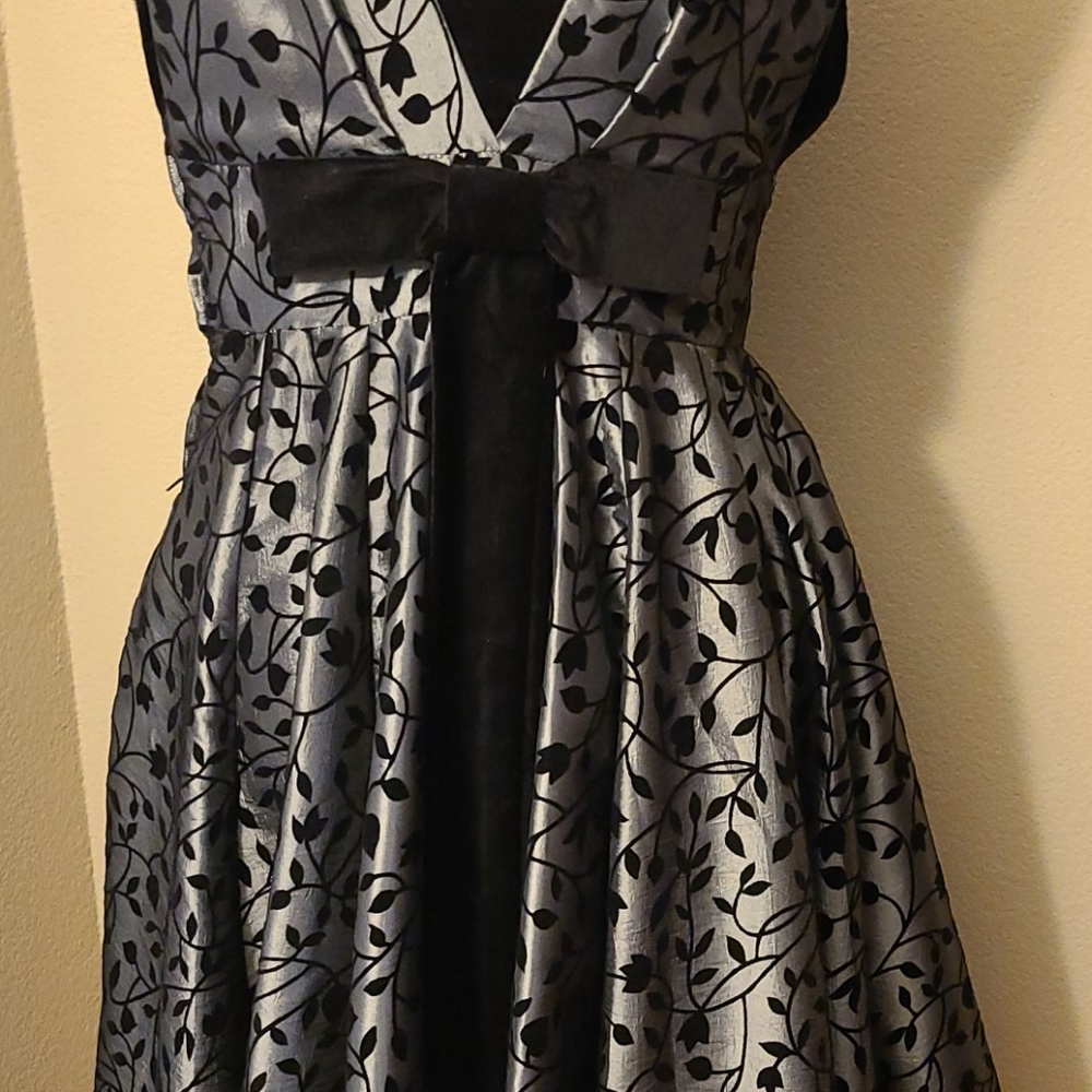 Silver and Velvet Dress - Picture 3 of 4